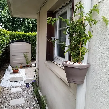 Rivahome